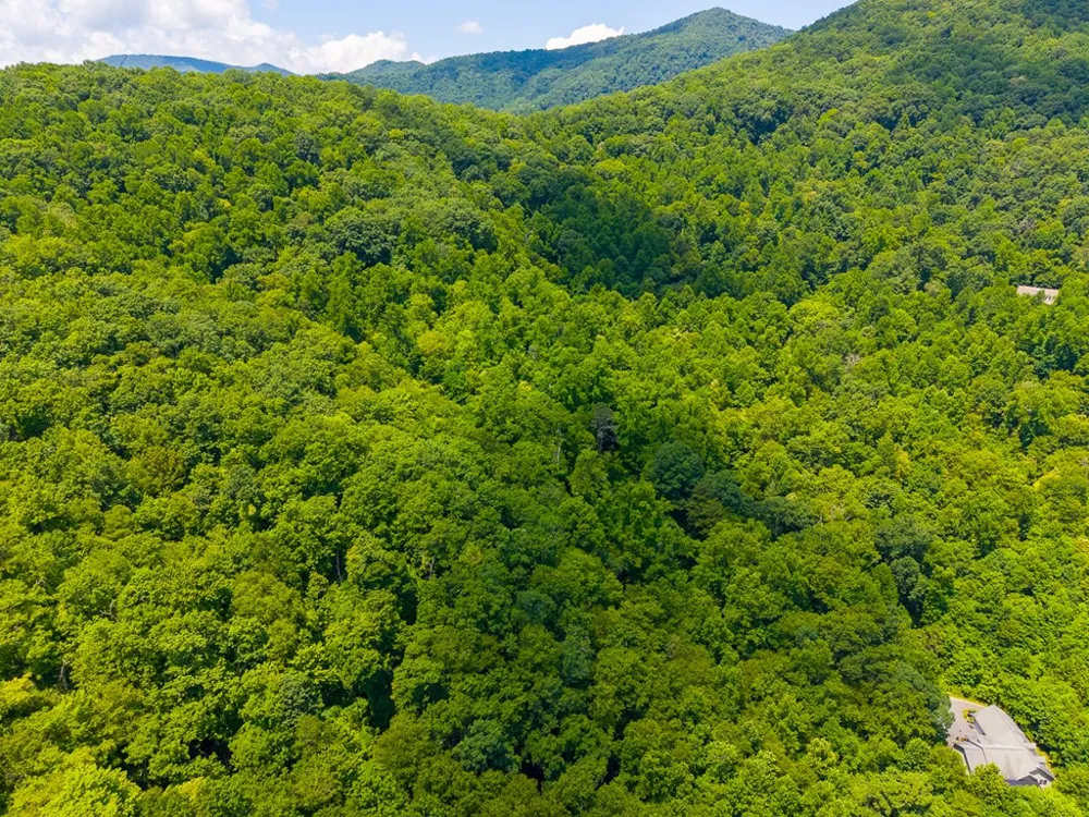 Indian Flats Dr Sylva, NC 28779