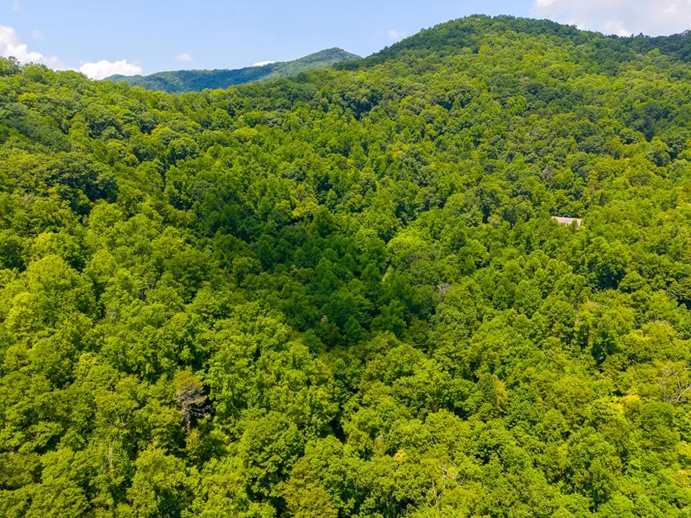 Indian Flats Dr Sylva, NC 28779