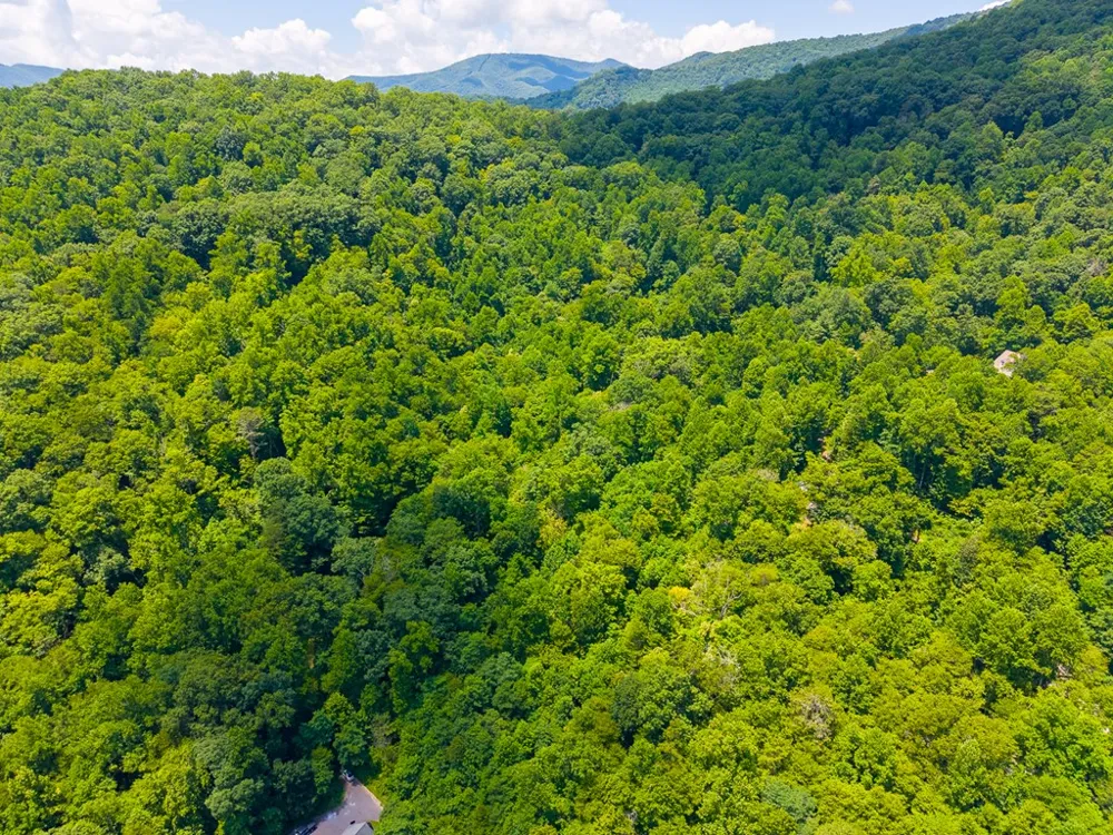Indian Flats Dr Sylva, NC 28779
