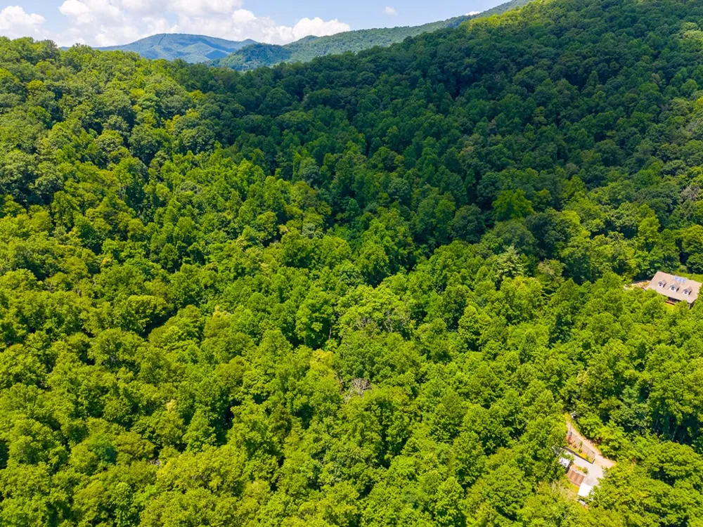 Indian Flats Dr Sylva, NC 28779