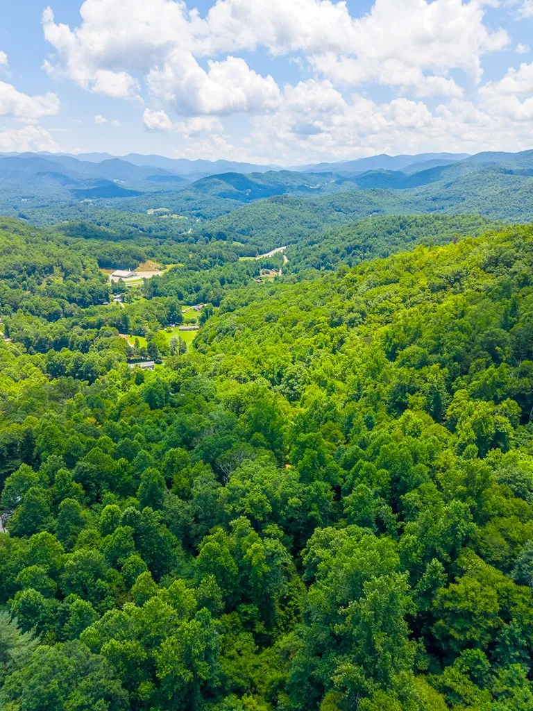 Indian Flats Dr Sylva, NC 28779