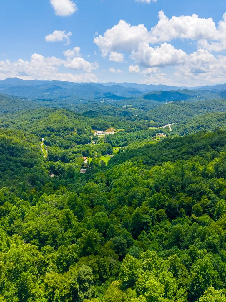 Indian Flats Dr Sylva, NC 28779