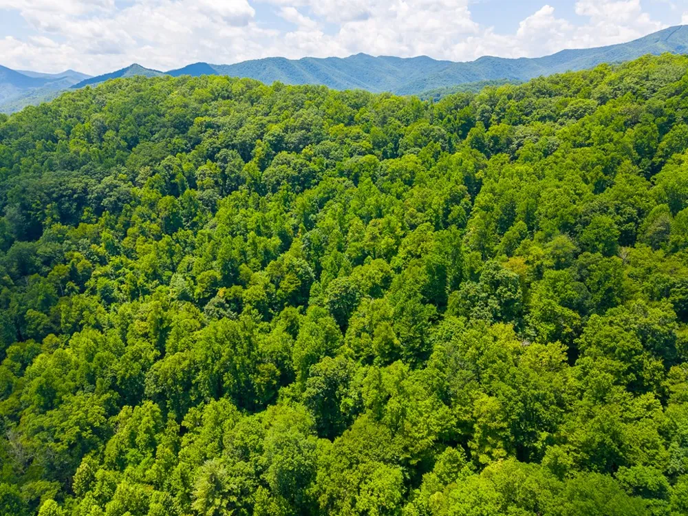 Indian Flats Dr Sylva, NC 28779