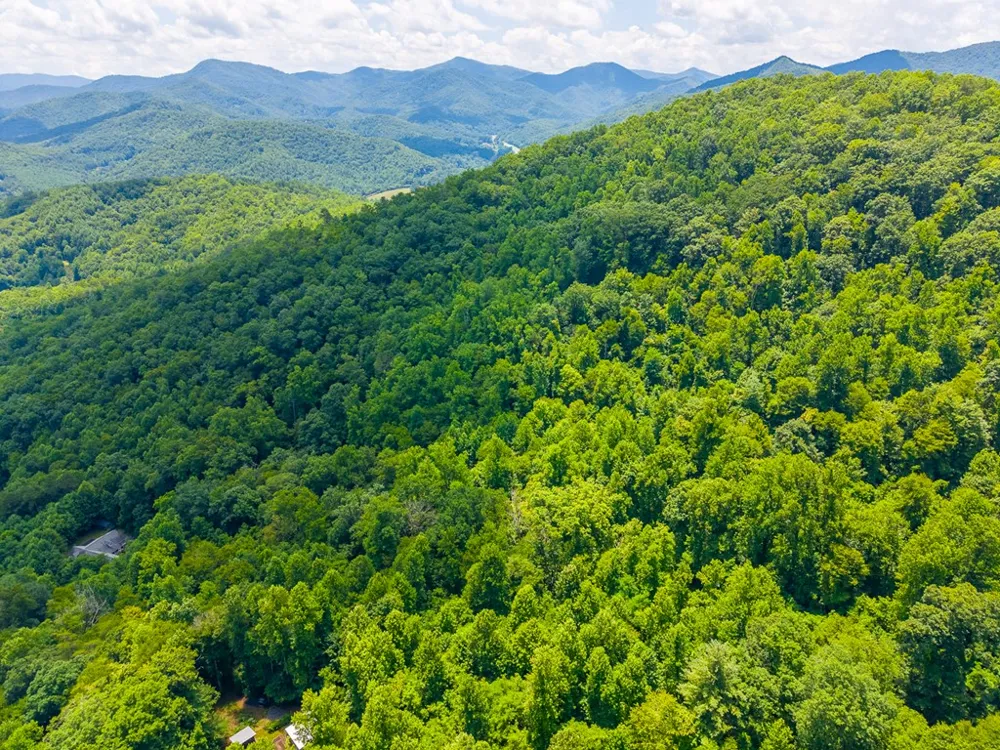 Indian Flats Dr Sylva, NC 28779