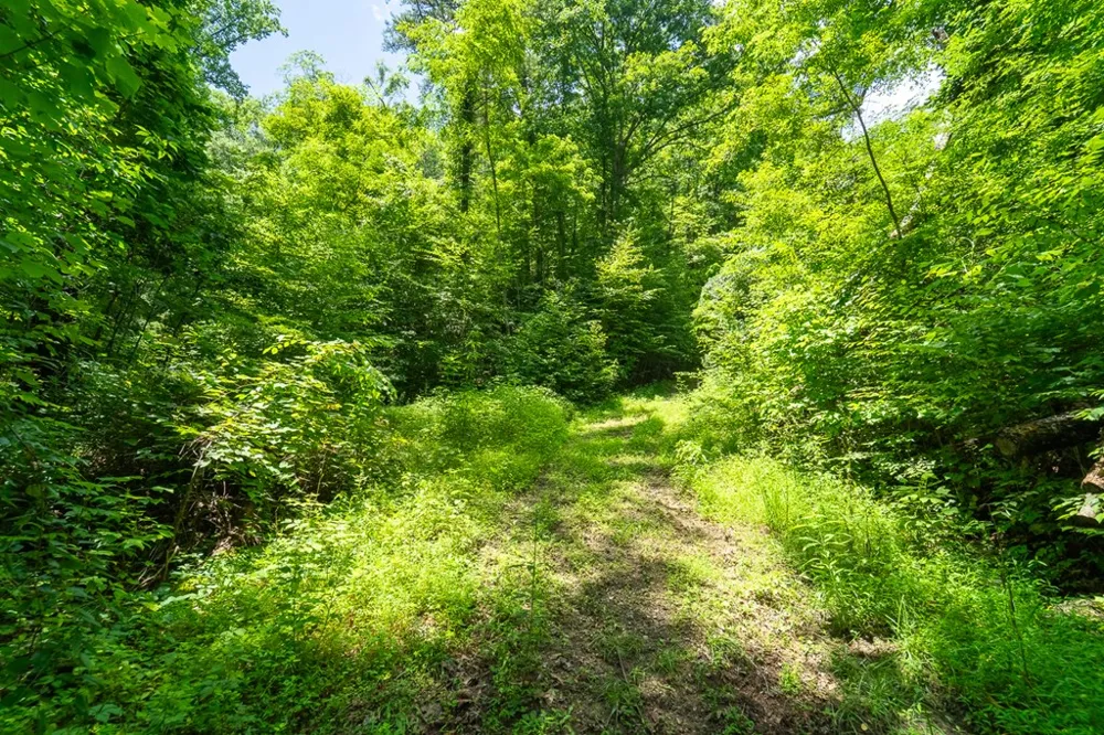 Indian Flats Dr Sylva, NC 28779