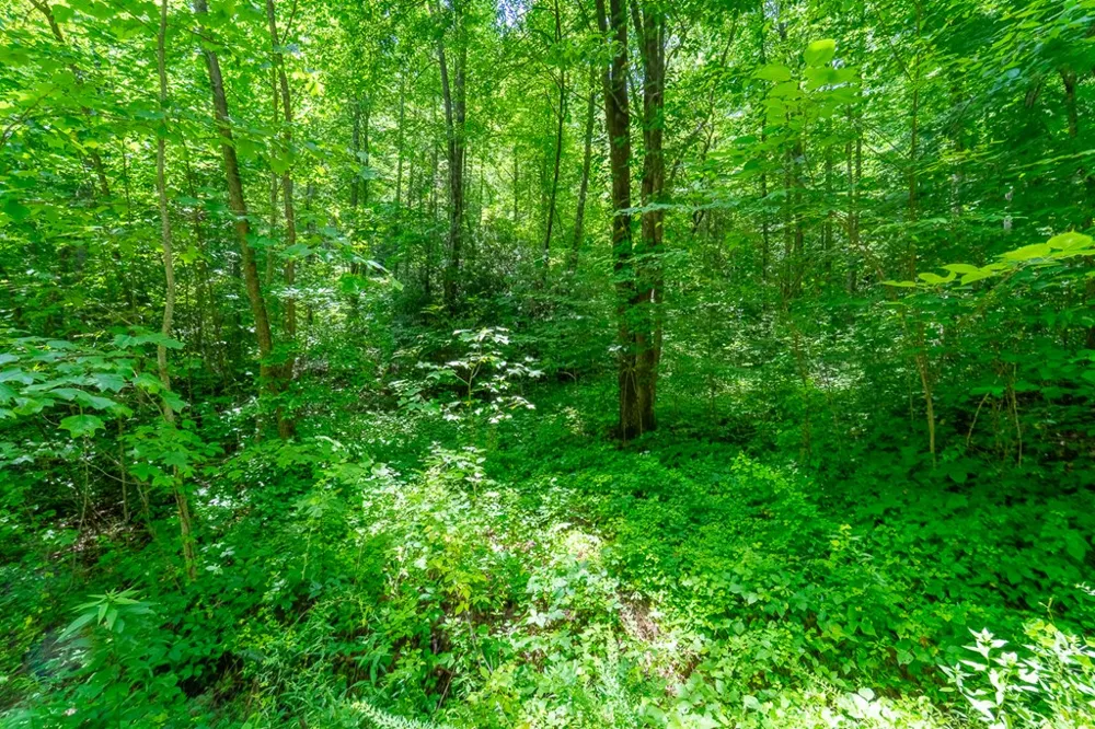 Indian Flats Dr Sylva, NC 28779