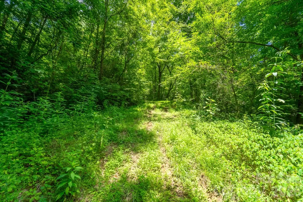 TBD Indian Flats Drive Sylva, NC 28779