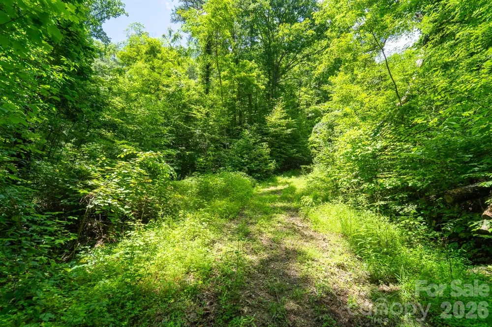 TBD Indian Flats Drive Sylva, NC 28779