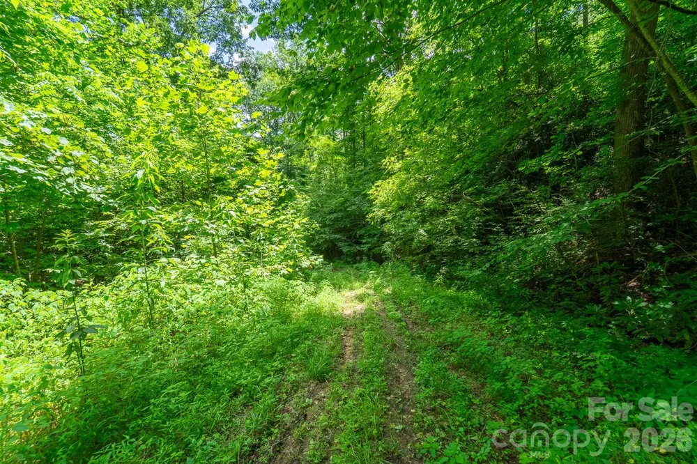 TBD Indian Flats Drive Sylva, NC 28779