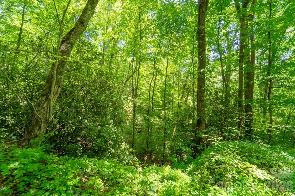 TBD Indian Flats Drive Sylva, NC 28779