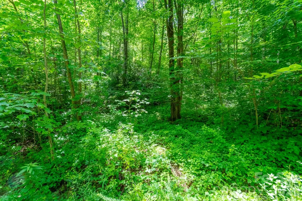 TBD Indian Flats Drive Sylva, NC 28779