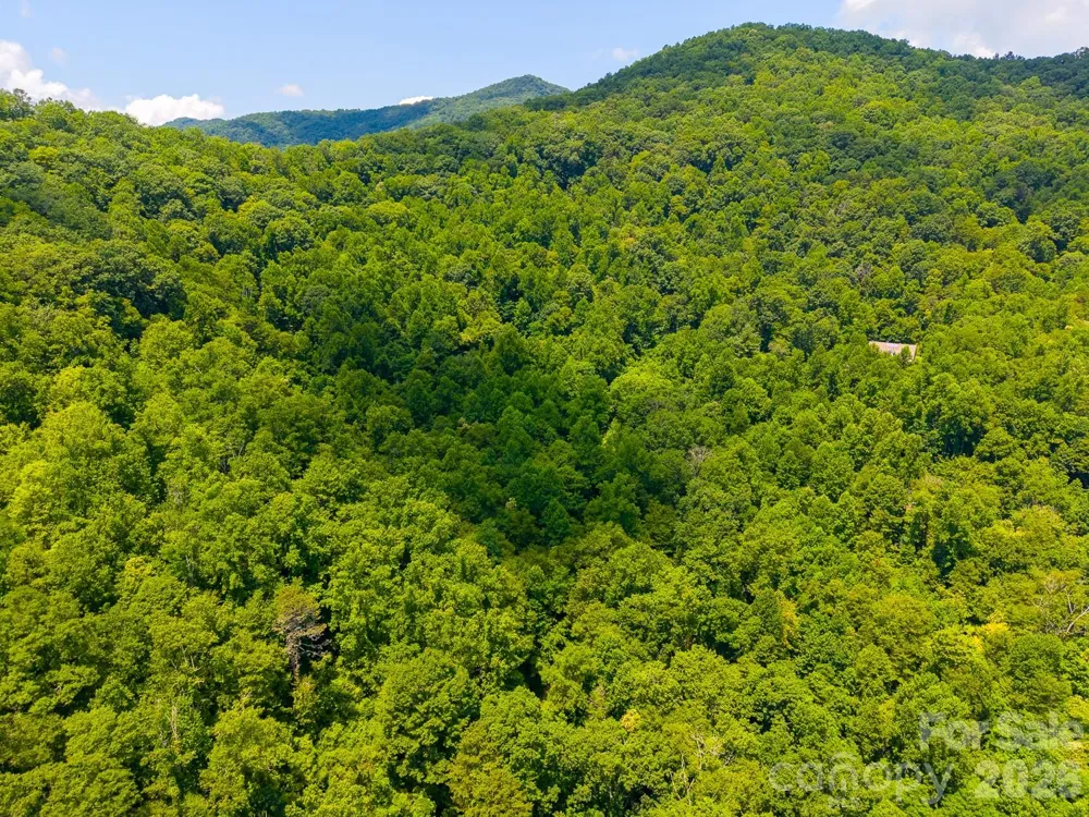 TBD Indian Flats Drive Sylva, NC 28779