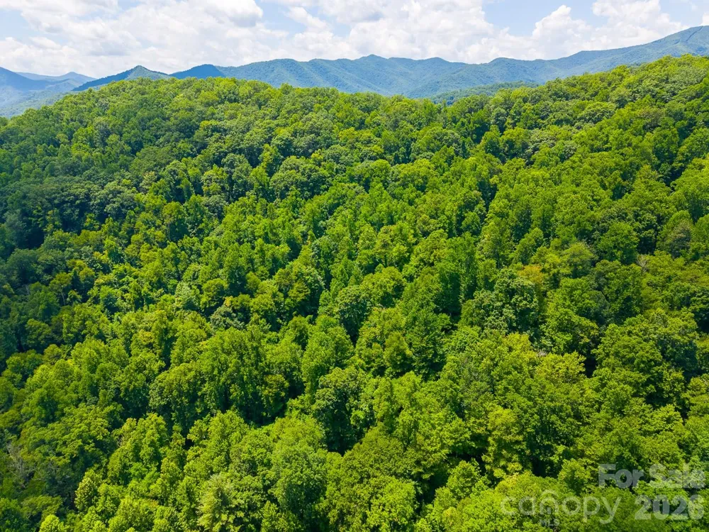 TBD Indian Flats Drive Sylva, NC 28779