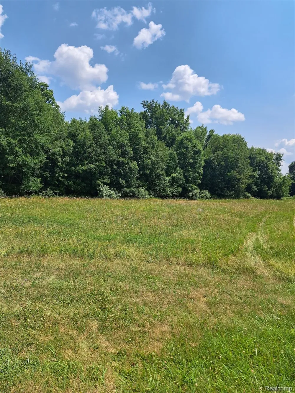6120 Sunnys Way Imlay Township, MI 48444