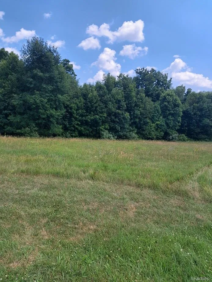 6120 Sunnys Way Imlay Township, MI 48444