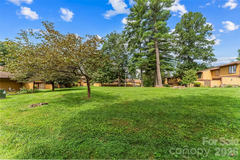 119 Colony Drive Arden, NC 28704