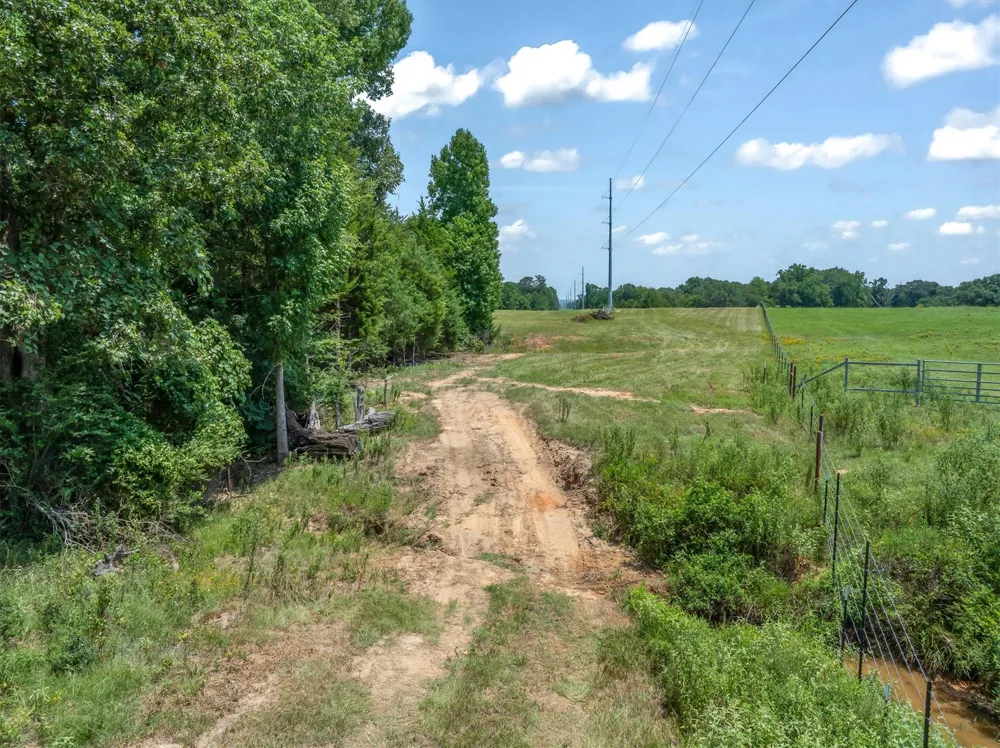 County Road 3520 Brownsboro, TX 75756