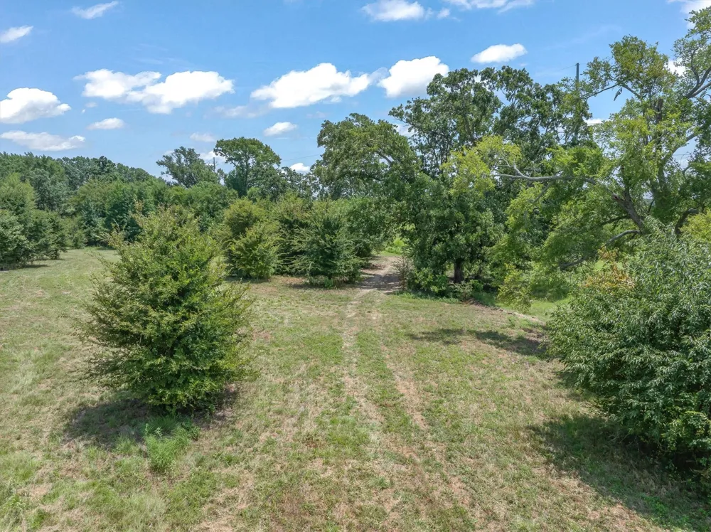 County Road 3520 Brownsboro, TX 75756