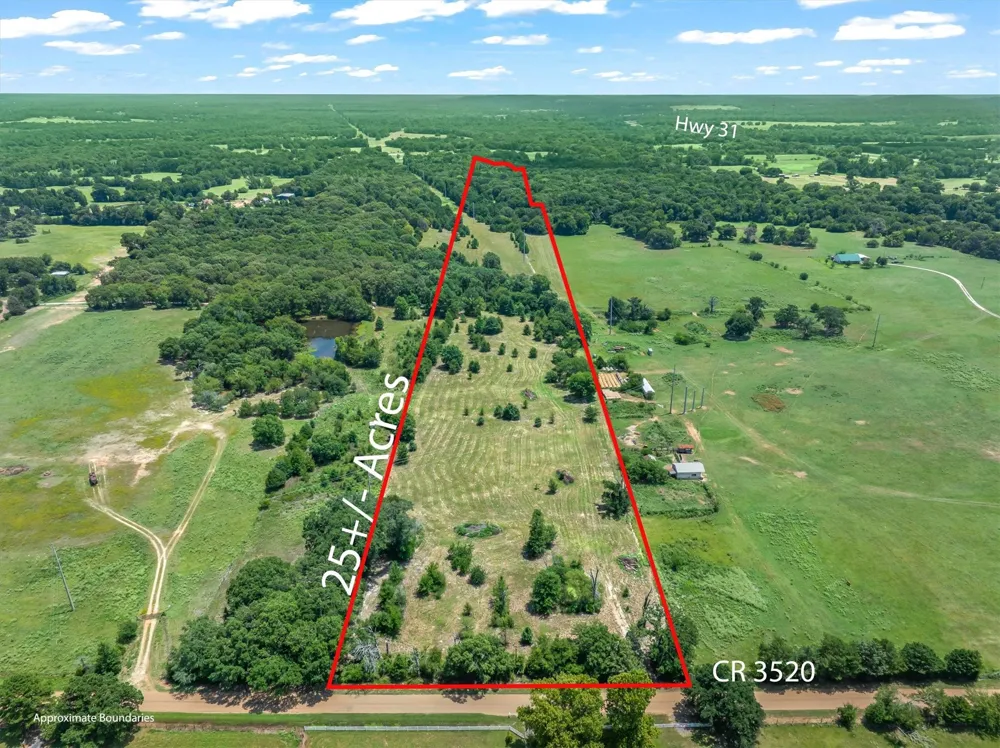 County Road 3520 Brownsboro, TX 75756