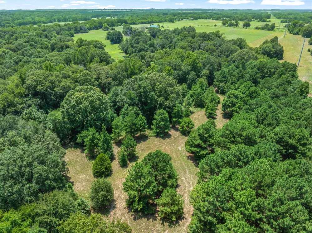 County Road 3520 Brownsboro, TX 75756