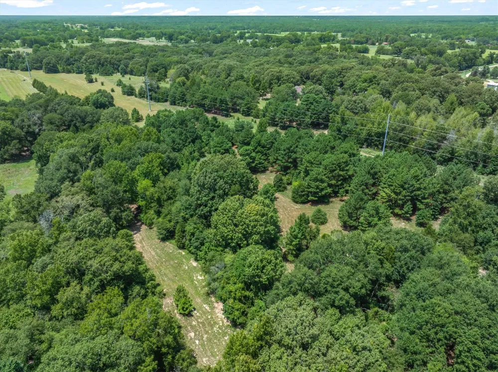 County Road 3520 Brownsboro, TX 75756