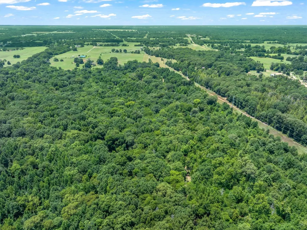 County Road 3520 Brownsboro, TX 75756