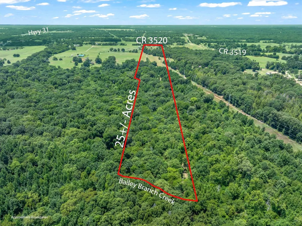 County Road 3520 Brownsboro, TX 75756