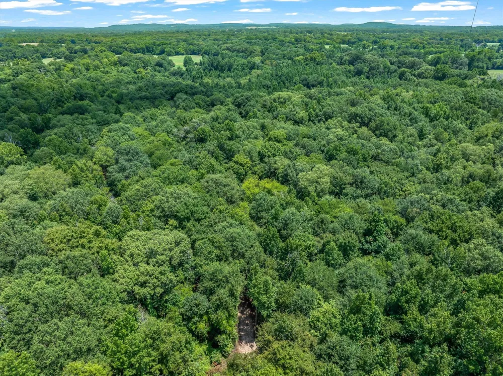 County Road 3520 Brownsboro, TX 75756