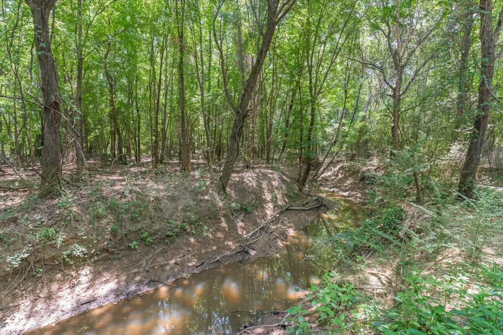 County Road 3520 Brownsboro, TX 75756