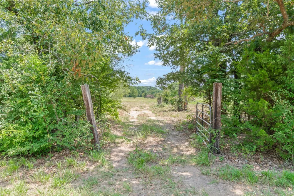 County Road 3520 Brownsboro, TX 75756