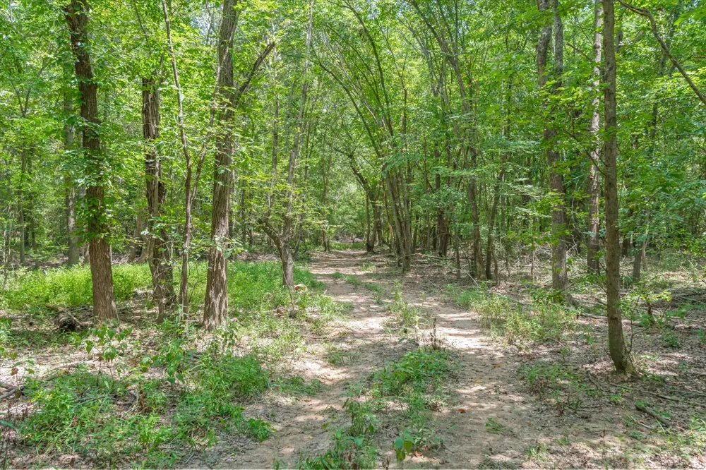 County Road 3520 Brownsboro, TX 75756