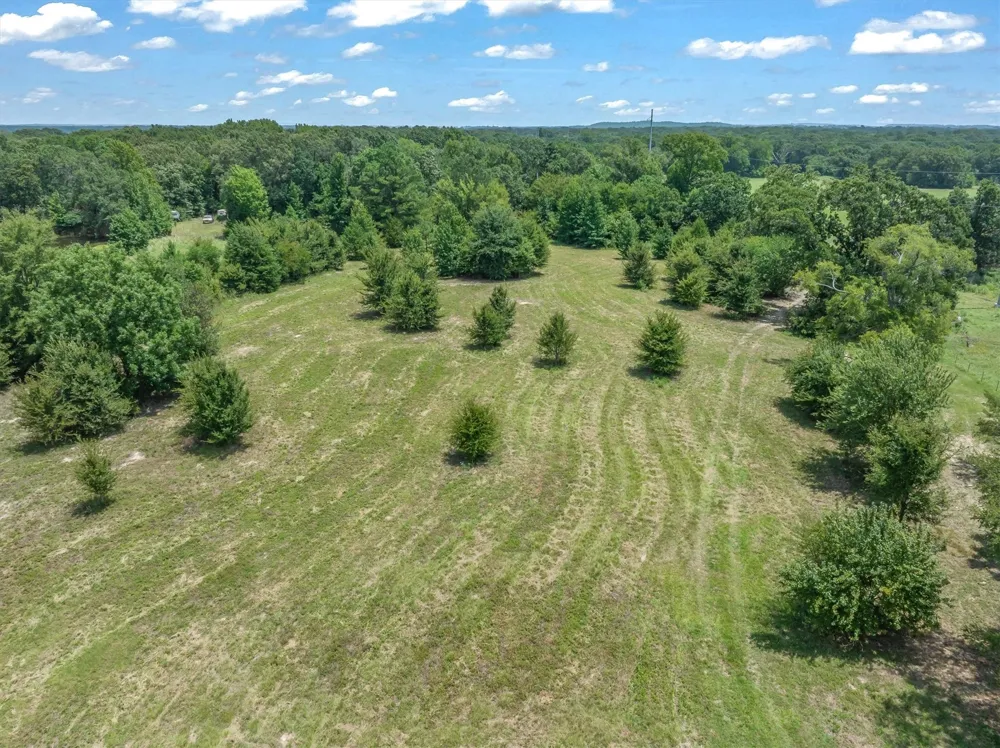 County Road 3520 Brownsboro, TX 75756