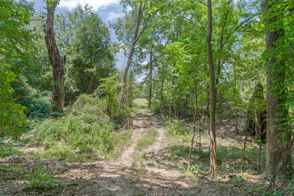 County Road 3520 Brownsboro, TX 75756