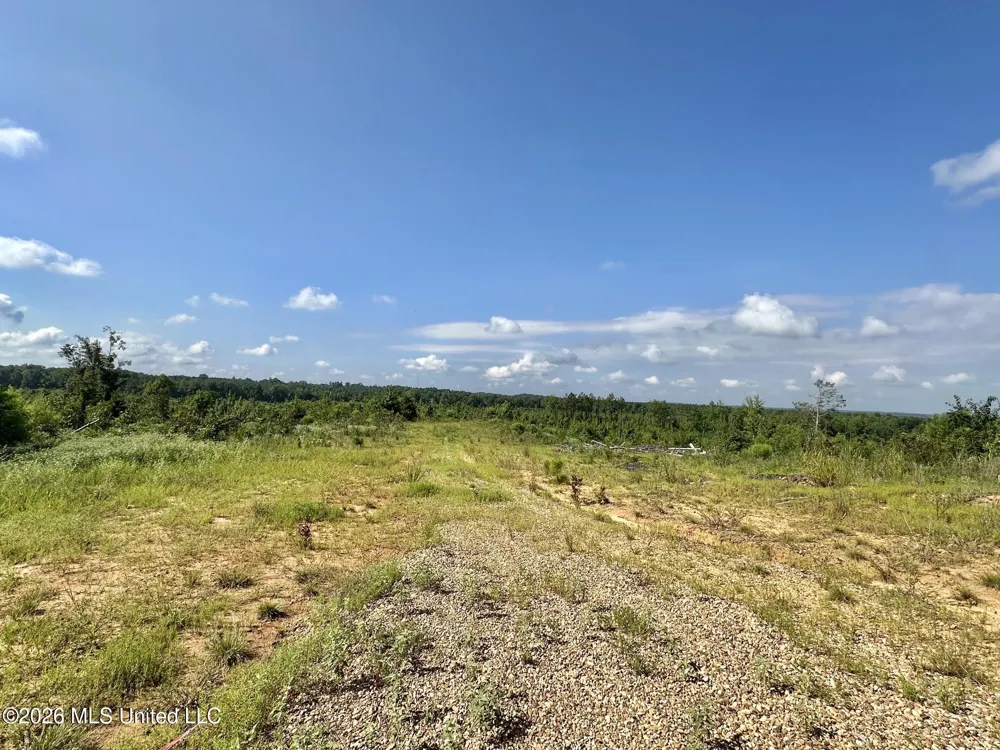 4 Will Womack Mantee, MS 39751