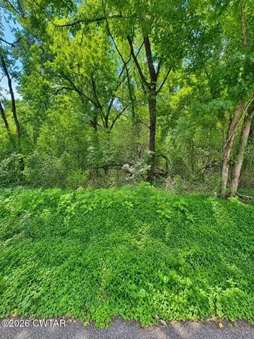 0 Reeves St Lexington, TN 38351