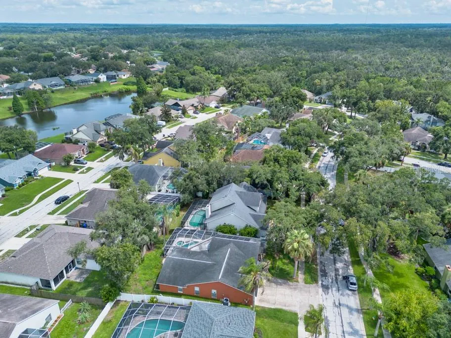 4609 OAK RIVER CIRCLE Valrico, FL 33596