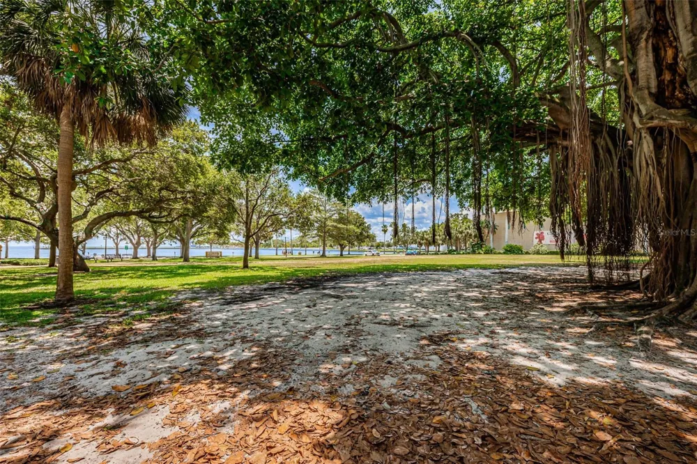 815 BURLINGTON AVENUE St Petersburg, FL 33701