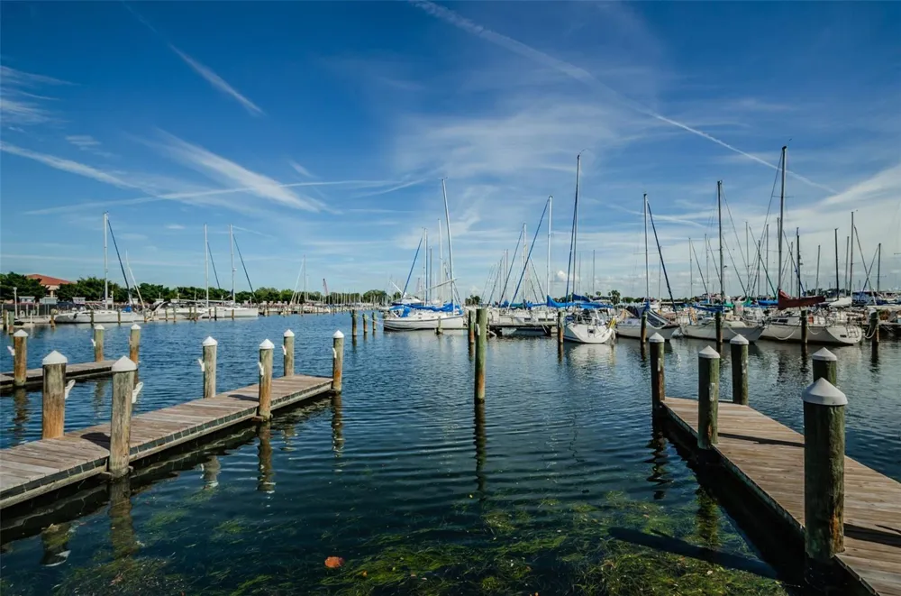 815 BURLINGTON AVENUE St Petersburg, FL 33701