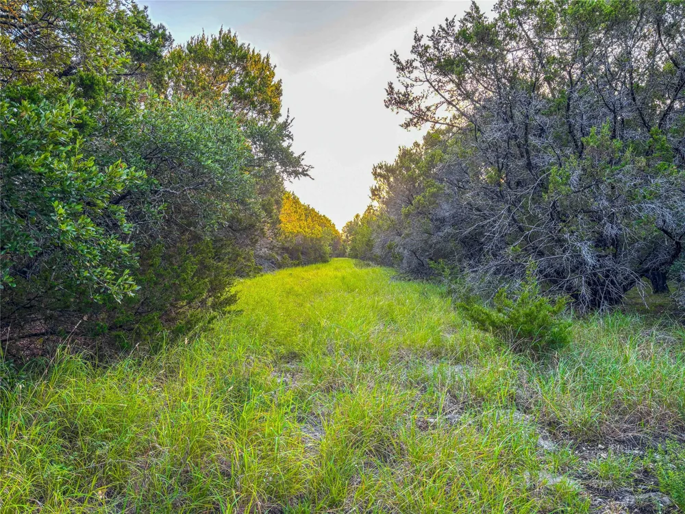 Fm 1991 Meridian, TX 76665