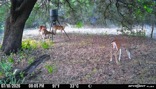 Fm 1991 Meridian, TX 76665