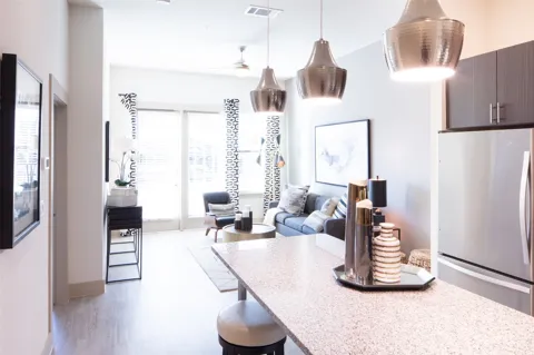 901 Zang Boulevard #213