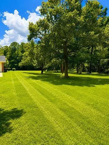 7565 Silver Star Road Sour Lake, TX 77659