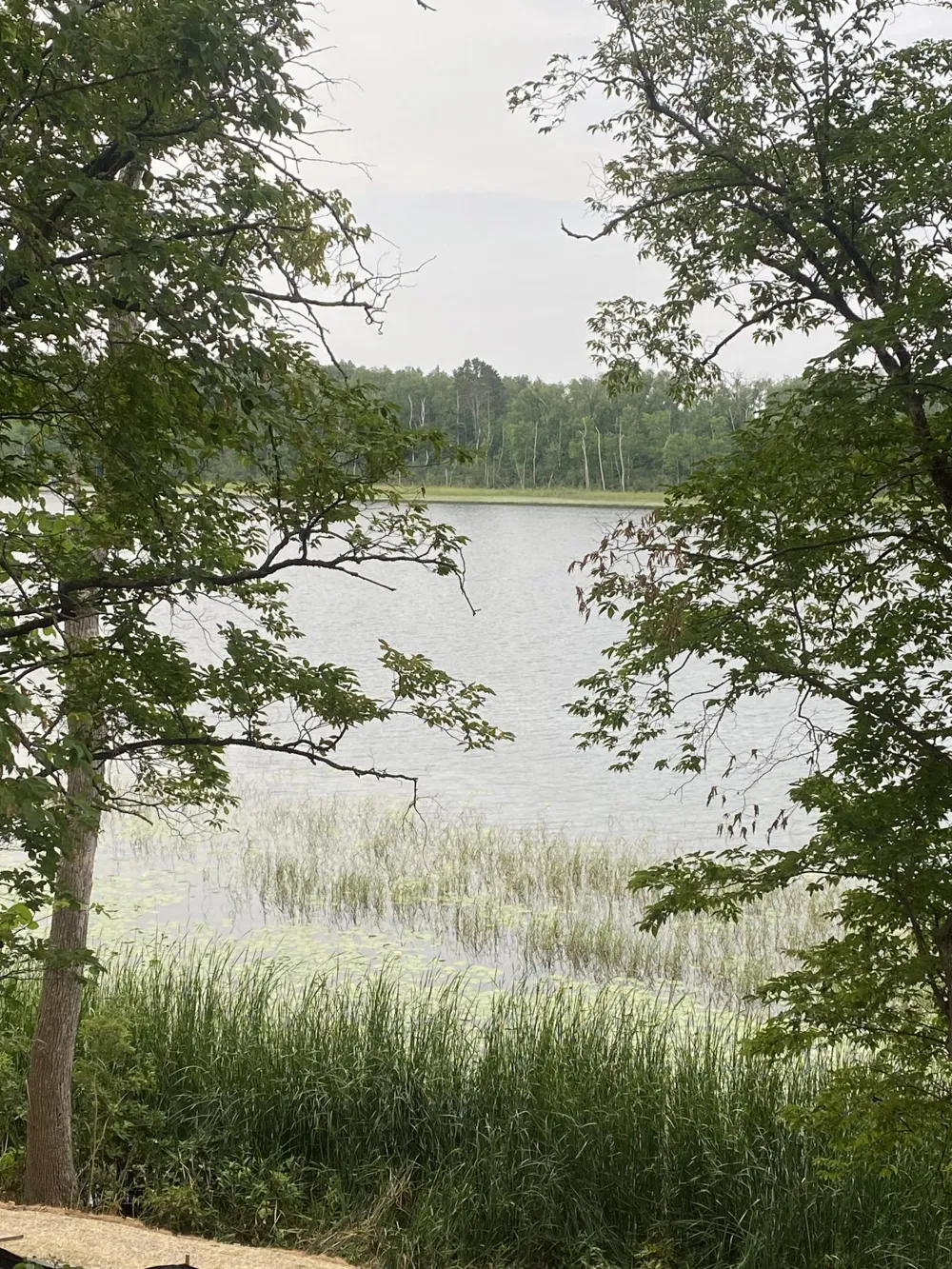 TBD Wolf Ridge Drive Cass Lake, MN 56633