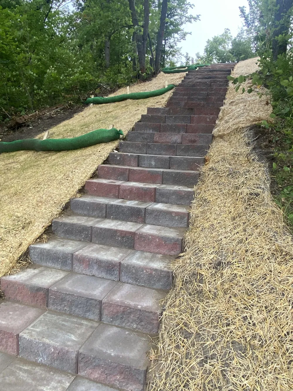 TBD Wolf Ridge Drive Cass Lake, MN 56633