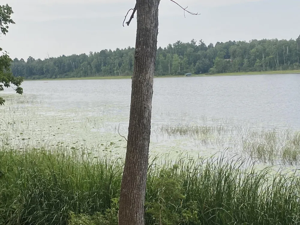 TBD Wolf Ridge Drive Cass Lake, MN 56633