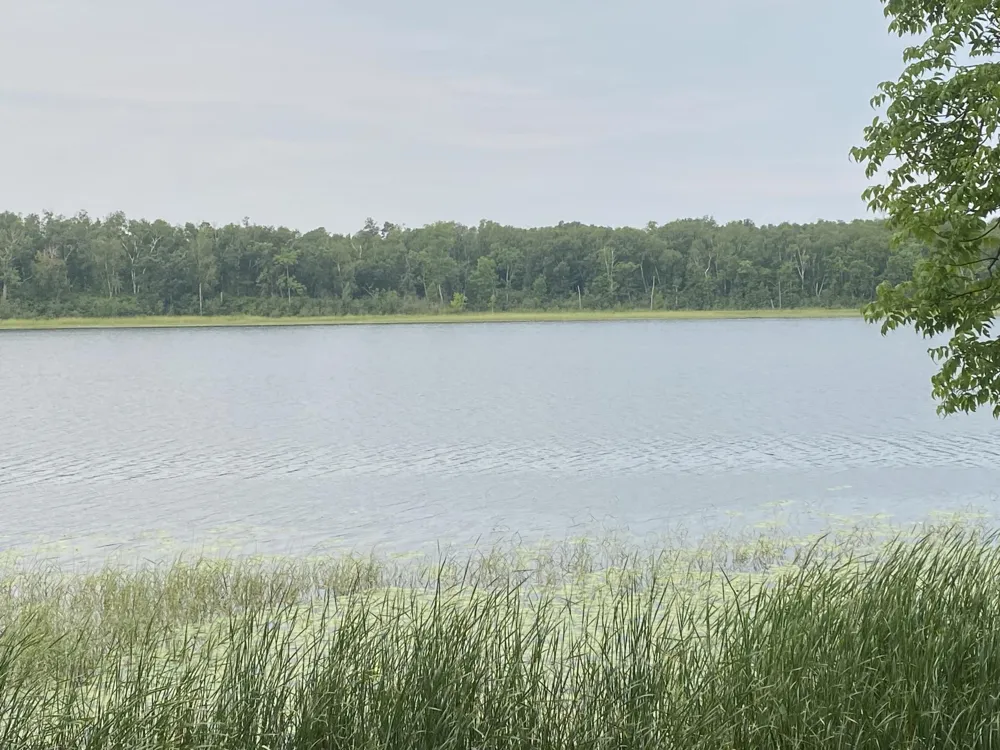 TBD Wolf Ridge Drive Cass Lake, MN 56633
