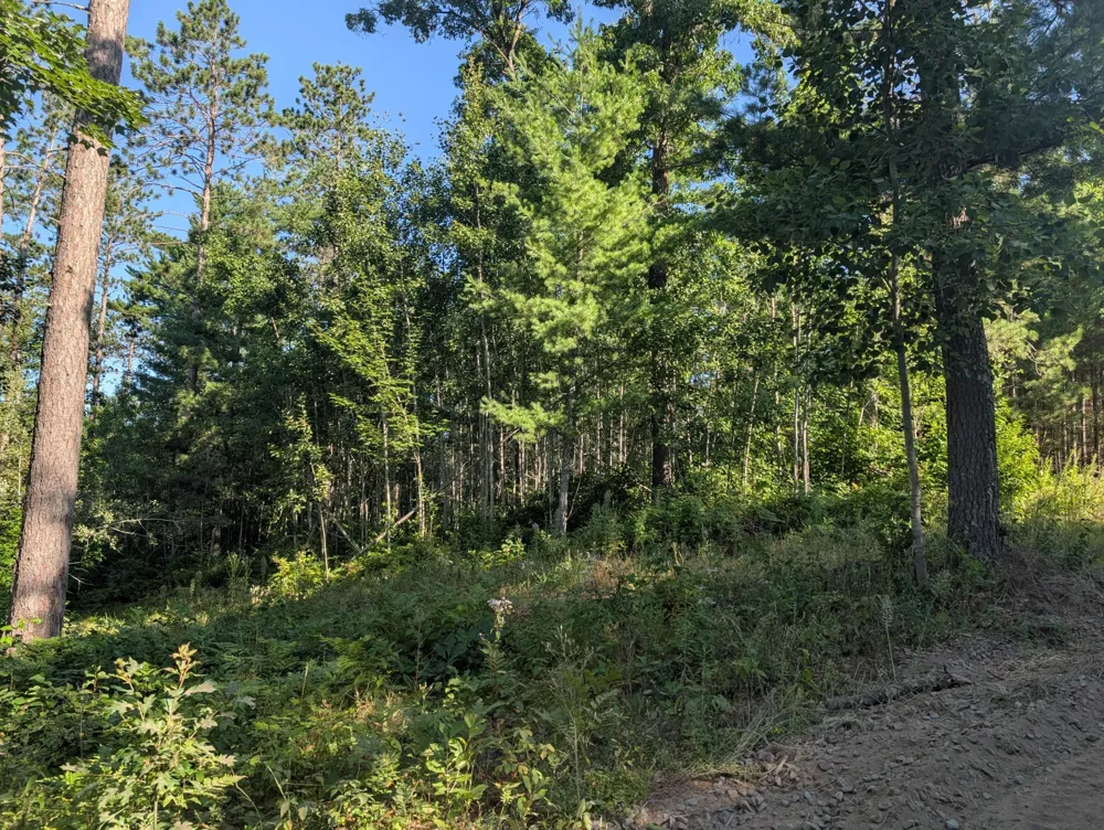 3380 W Highway 63 Springbrook, WI 54875