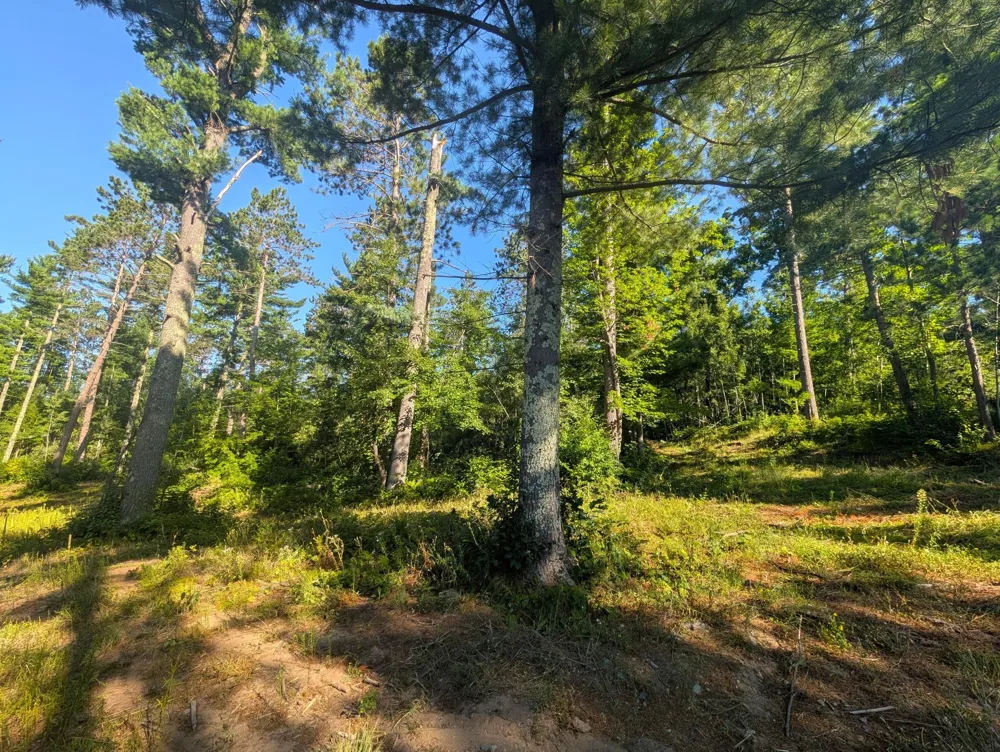 3380 W Highway 63 Springbrook, WI 54875