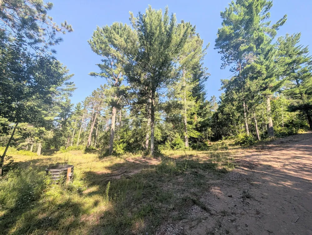 3380 W Highway 63 Springbrook, WI 54875