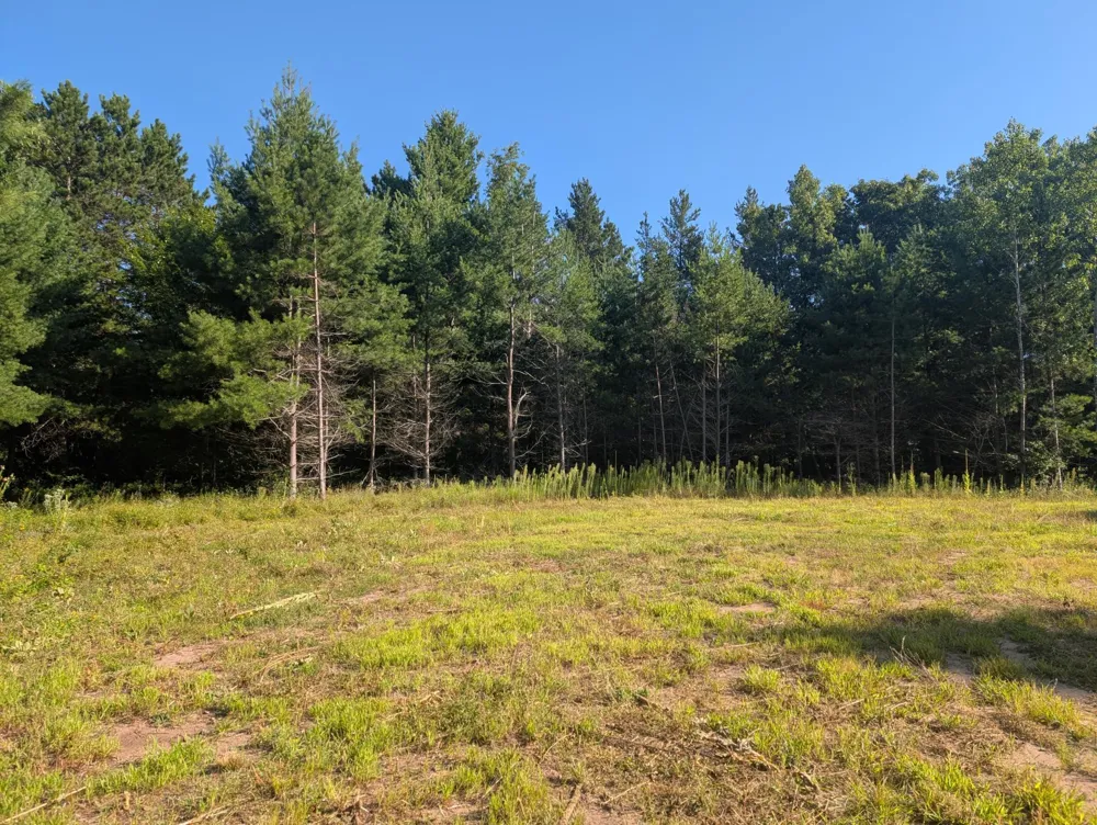 3380 W Highway 63 Springbrook, WI 54875